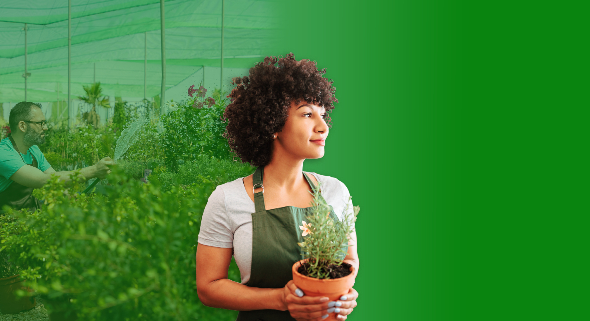 Banner de Jardinagem